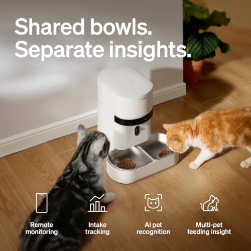 Automatic Cat Feeder for 2 Cats (5l dual bowl)