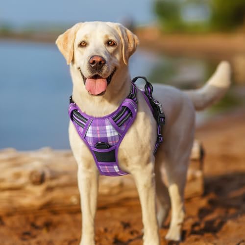 Dog Harness No Pull for Small Dogs with 2 Leash Clips (Small / Purple Plaid)