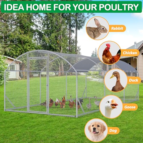 Large Metal Chicken Coop (19'Lx9'W)