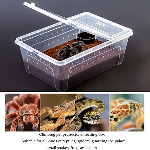 2 PCS Reptile Feeding Box Lizard Tarantula Habitat Cage Hatching Container