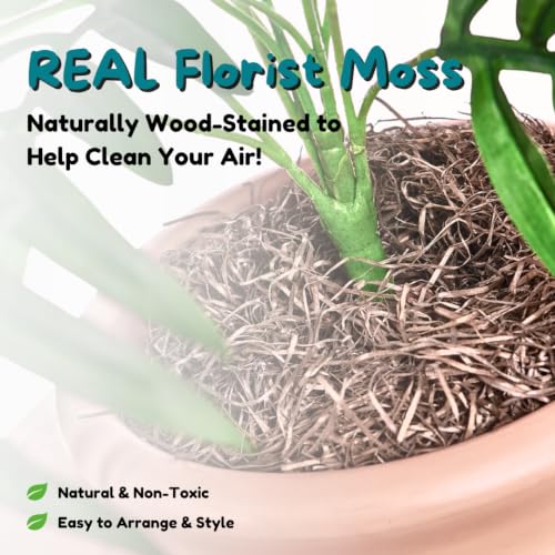 Original Hidden Litter Box Planter (Broad Leaf Philodendron / Base Kit / Blush Coral)
