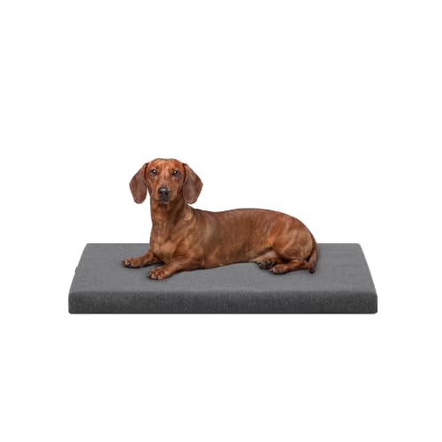 Tough Ripstop Orthopedic Crate Bed (Small (29" L x 18" W x 2" H) / Titanium Premium Finish)
