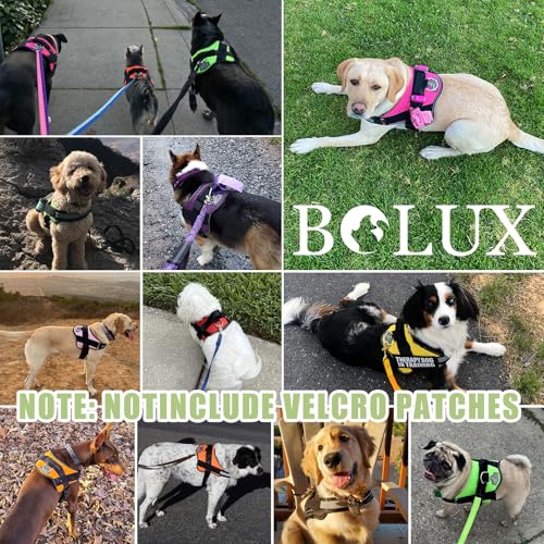 Dog Harness No (XX-Large (Pack of 1) / CreamGreen)