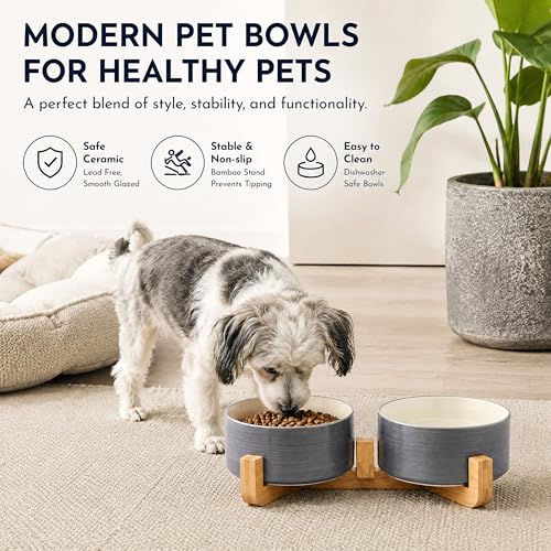 Ceramic Cat Dog Bowl Set with Wood Stand (Grey White / 400ML*2)