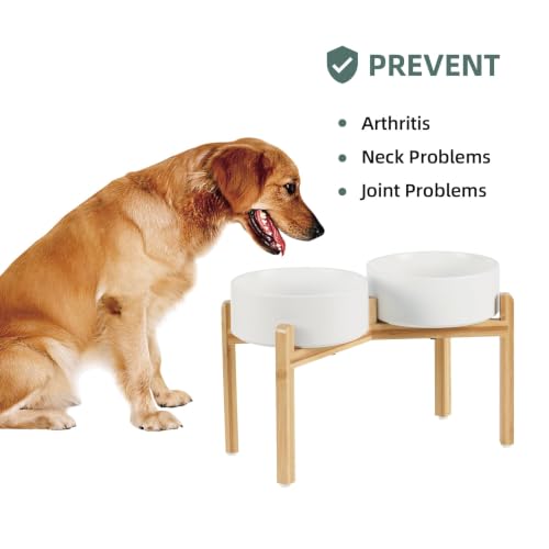 Dog Bowls Elevated (Matte White)