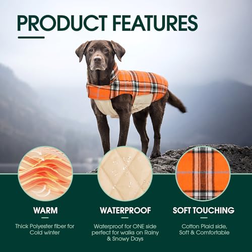 Waterproof Dog Coat (Orange / 2X-Large (Pack of 1))