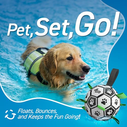 Dog Soccer Balls Toy with Bell Inside (Squeaky Green / Large Size 3 (8 Inch))