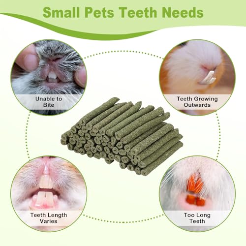 100PCS Timothy Hay Sticks for Rabbits Guinea Pigs Chinchillas Chew Treats