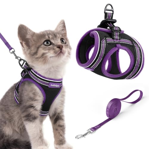 Cat Harness and Leash Set (S / Black & Purple)