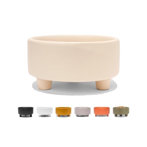 Uplift Elevated Ceramic Dog Bowl (Small / Buttercream)