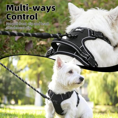 No Pull Dog Harness Small Sized (Black / X-Small)