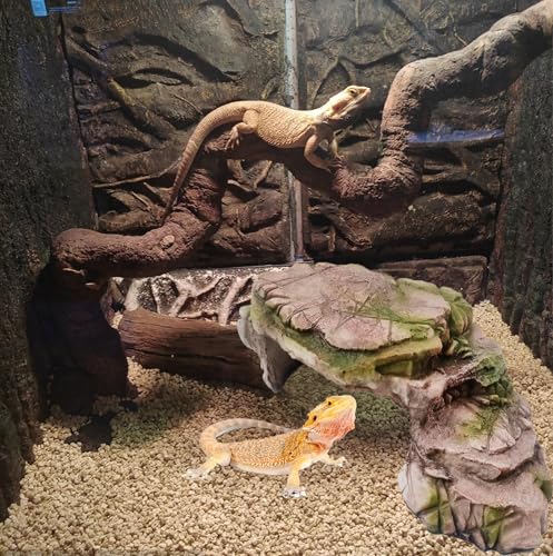 Turtle Basking Platform Resin Bearded Dragon Hides and Caves with Ramp Reptile Resting Terrace Turtle Tank Decorations for Frogs (hideout)