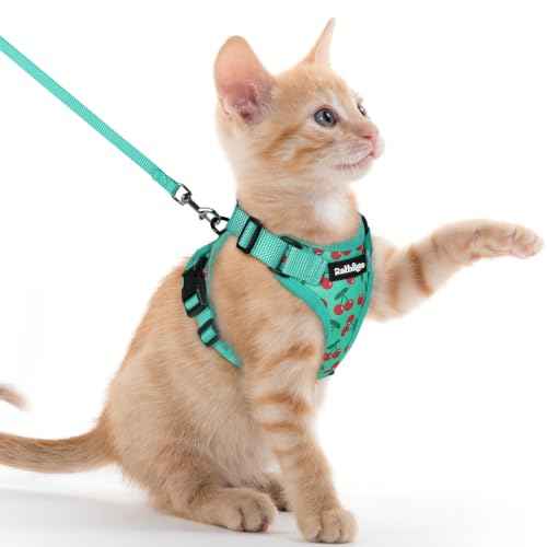 Cat Harness and Leash Set (Xxs / Cherry Grove)