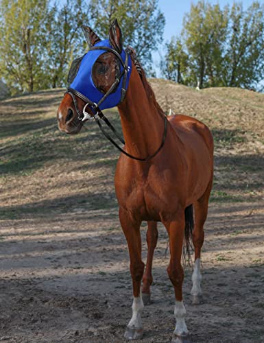 Horse Fly Mask with Ears (Royal Blue / Medium)
