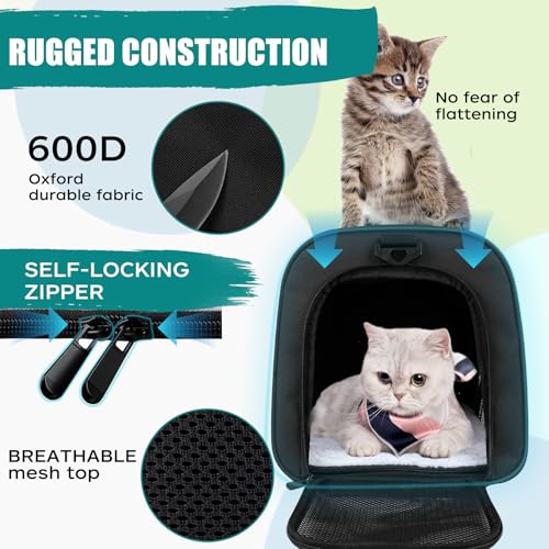 Dog Cat Carrier Pet Carriers for Small Medium Large Cats Dogs Carrier Soft Sided Small Puppy Dog Carrier Portable Foldable Airline Approved Dog Cat Travel Carrier Black Medium (18.0"L x 11.0"W x 11.0"H / Black)