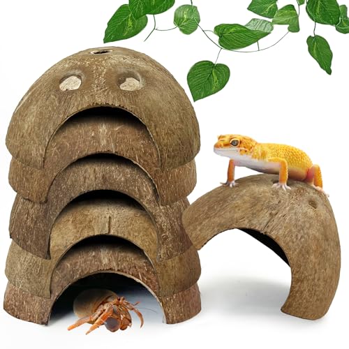 7 Pcs Reptile Hideouts Natural Coconut Shells Hut Leopard Gecko Tank Accessories for Aquarium Fish Hermit Crab Hide Cave Small Snake Tarantulas Lizard Chameleon (6 Pack Smooth)