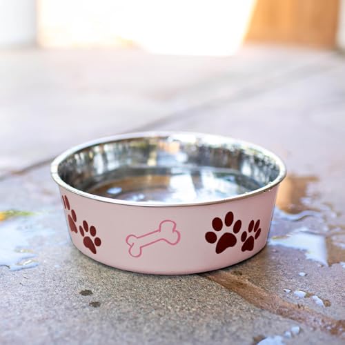 Bella Dog Bowls (Paparazzi Pink / Medium (20-35lbs))