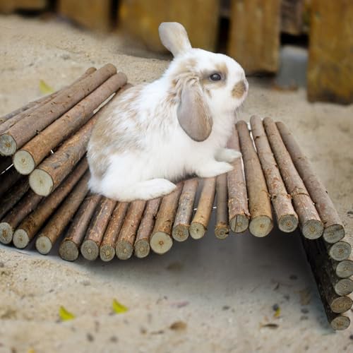 Rabbit Bridge Wooden Hamster Climbing Tunnel Bunny Extra Large Ladder Wood Flexible Hideout for Guinea Pig Chinchilla Ferret Hedgehog Rat Squirrel and Other Rodents (XL (26.0 x 16.0 inches))