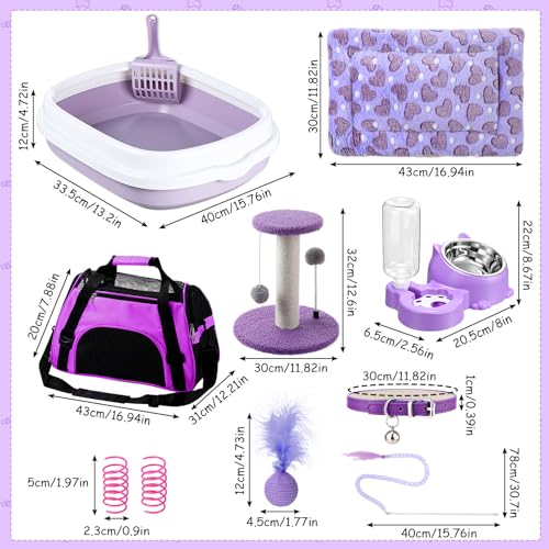 10 Pcs Kitten Starter Kit for Indoor (Cute / Medium / Purple)