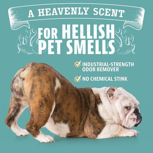 Pet Odor Eliminator for Dog and Cat Urine (24 Fl Oz (Pack of 1))