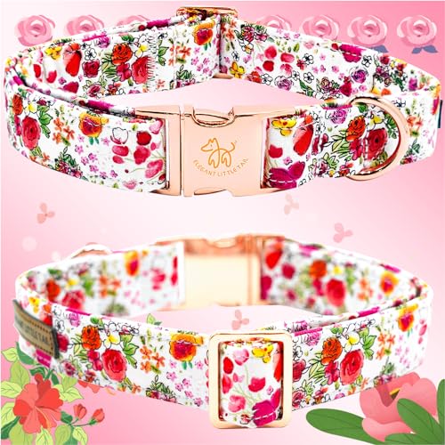 Summer Dog Collar (Rose Red / X-Large (Pack of 1))