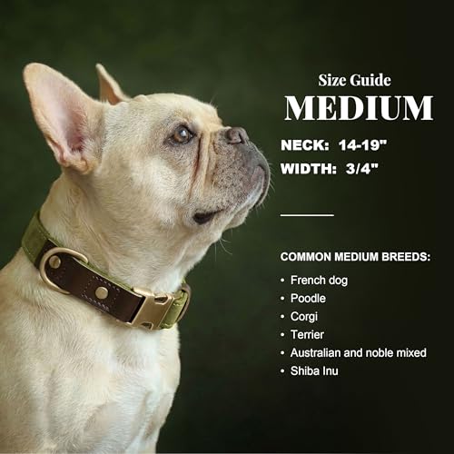 PU Leather Dog Collar for Medium Dogs (Olive Green / M: Neck 14-19", Width ¾")