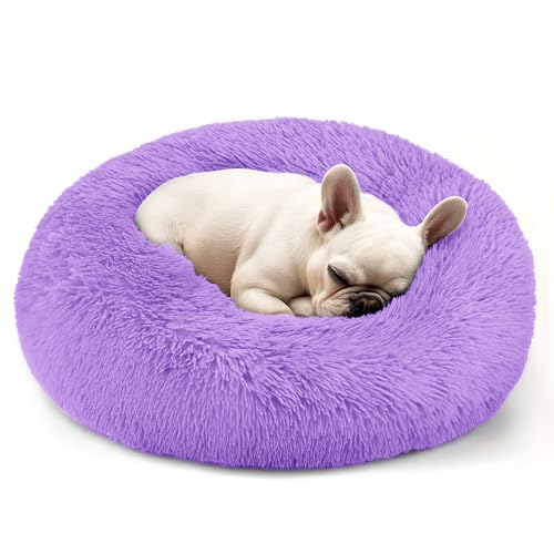 Dogs Bed for Small Dogs (Purple / 24.0"L x 24.0"W x 8.0"Th)