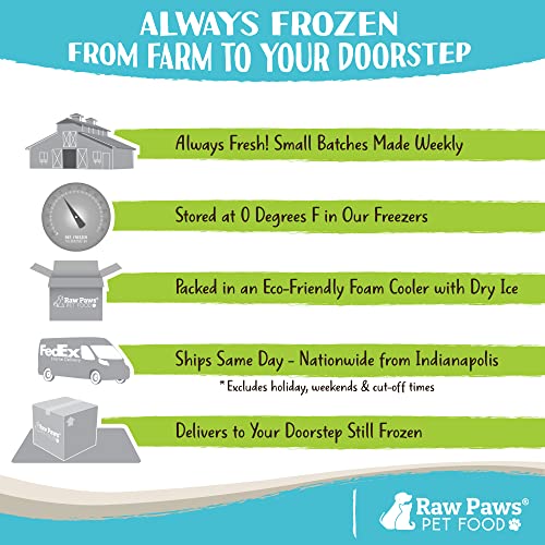 Frozen Raw Chicken Recipe Dog & Cat Food (1 Pound (Pack of 10))
