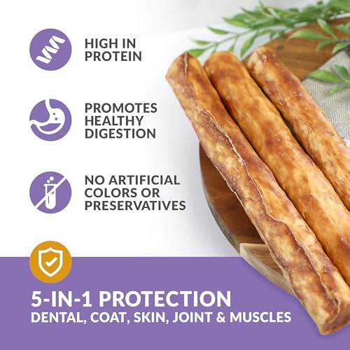 Real Duck Collagen Stick Dog Treat 10" (11 Ounce (Pack of 3))