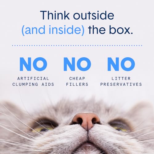 Boxie Premium Unscented Clumping Cat Litter 30+ Day Odor Control 16 lb (16 lb)