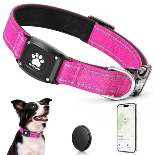 GPS Dog Collar with Tracker (Hot Pink / XS(10.5''-13.5''))