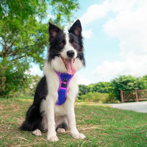 Upgraded No Pull Dog Harness (Royal Blue / Medium)