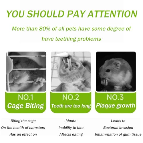 Types of Combined Chew Toys Molar Sticks Sweet Bamboo Apple Branch Timothy Grass for Pets Chinchilla Squirrel Gerbil Hamster Squirrel Guinea Pigs 400 Grams (400g)