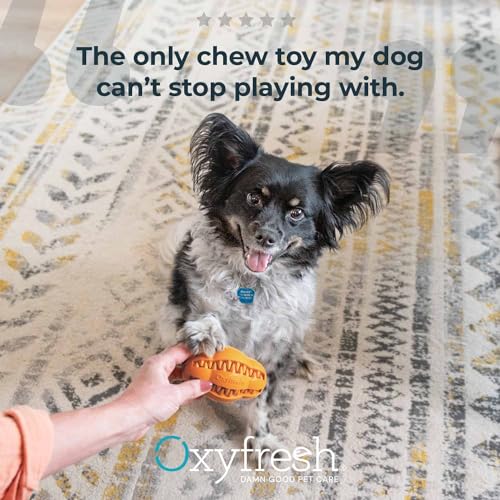 Dog Dental Chew Toy (Small)