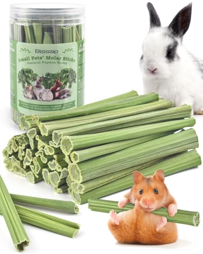 50PCS Rabbit Chew Sticks (50 PCS)