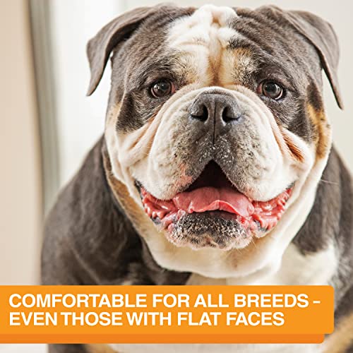 Express Mess Proof Dog Bowls Elevated for Medium and Large Breed (Medium to Large w/ 9 Peak Slow Feed Bowl / Gunmetal Grey)