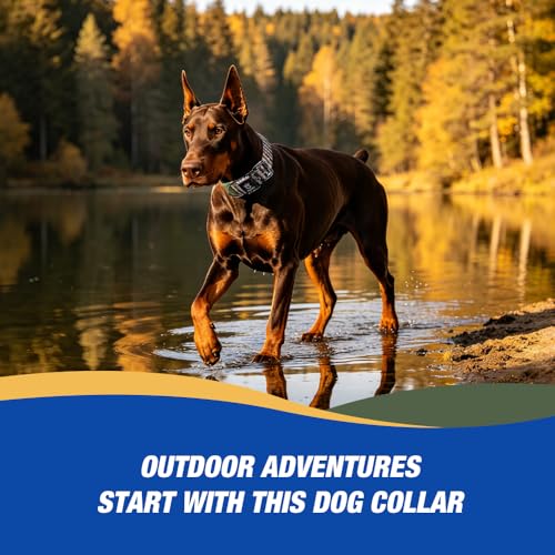 Heavy Duty Thick Dog Collar with Metal Buckle for Large Dogs (L – Fits Neck 18.9"-21.7" / Forest Vein Print)