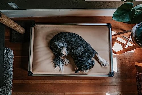 Chew Proof Armored Padded Dog Crate Bed