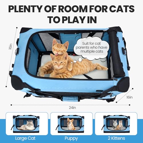 Extra Large Cat Carrier (Teal)