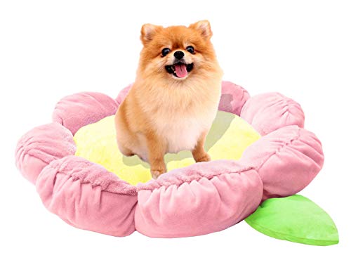 Soft Plush Small Cute and Cozy Pastel Pink Flower Dog Cat Bed (Pastel Pink Flower)