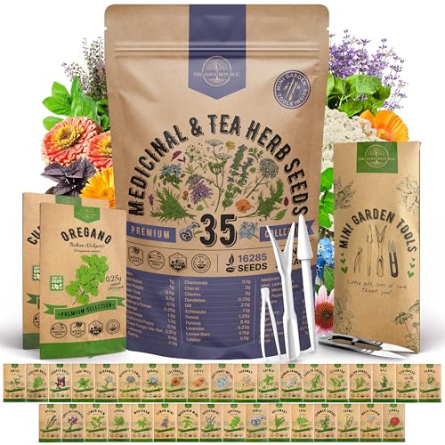 35 Medicinal & Tea Herb Seeds Variety Pack for Indoor & Outdoors. 16
