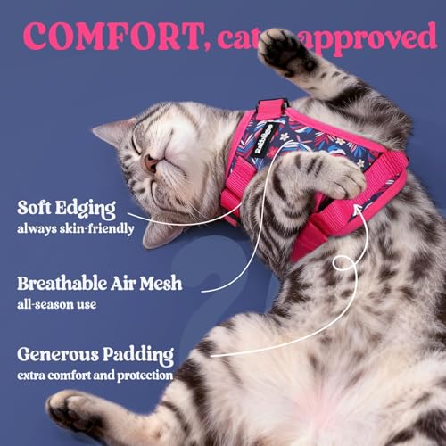Cat Harness and Leash Set (S / Coconut Fuchsia)