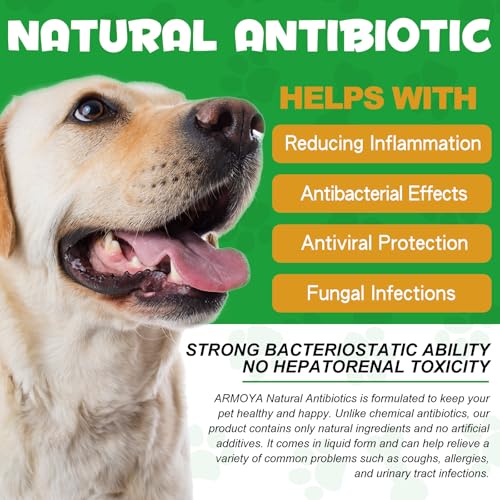 Natural Antibiotics for Dogs