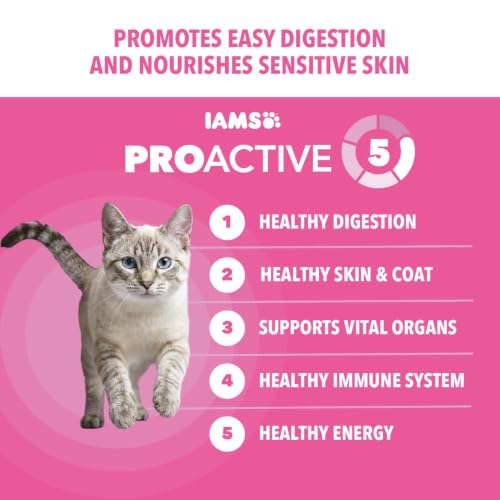 Proactive Health Sensitive Digestion Dry Cat Food (6 Pound (Pack of 1))
