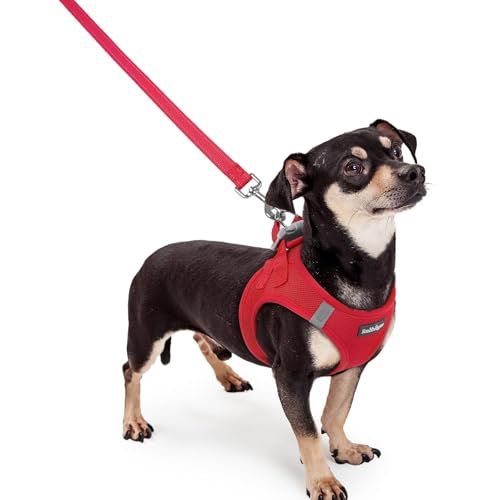 Dog Harness Small Sized and Leash Set (Red / Xxxs (chest: 10.8 - 11.8"))