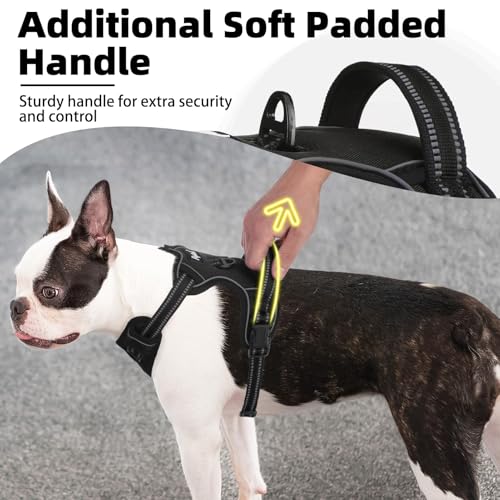 No Pull Dog Harness Medium Sized (Black / Medium)