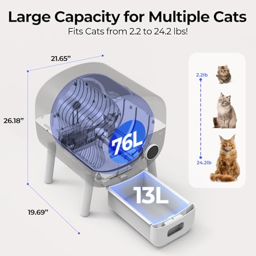Self Cleaning Cat Litter Box