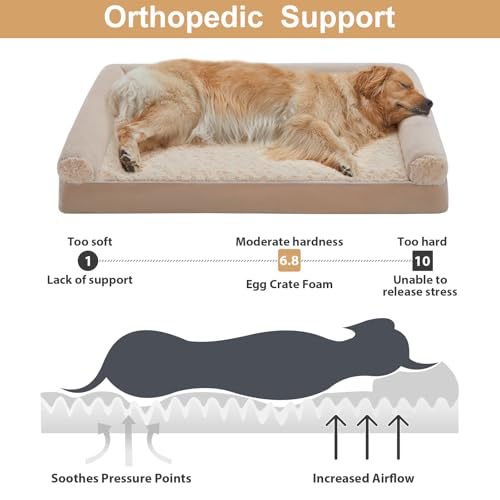 Orthopedic Washable XLarge Dog Bed for Senior Dog Cozy Sleep (42"l x 30"w x 7"th / Beige)