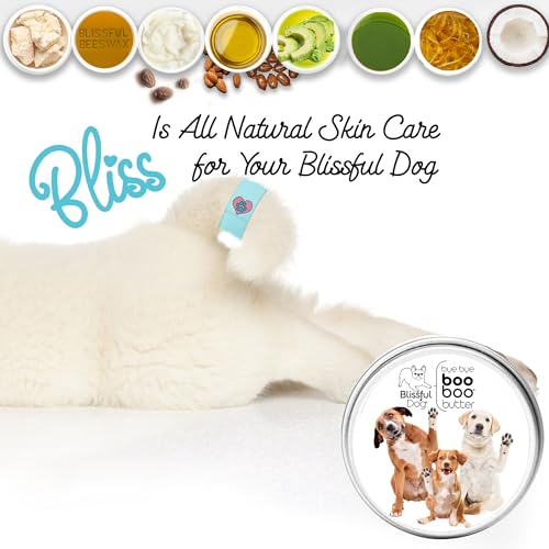 Mixed Breed Boo Butter (8 Ounce / Mixed Breed)