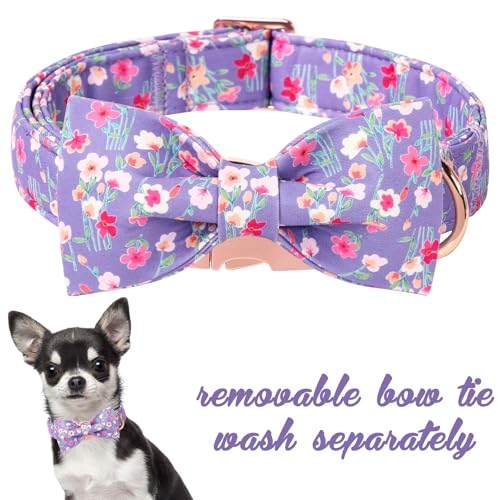 Cartoon Dog Collar with Bow Spring Summer Collar with Mutiflower for Small Medium Large Boys Girls Dogs (M / Multiflora bow)